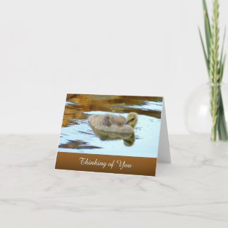 Sanft gosling - Denken Sie an Sie - leere Karte