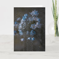 Sanfte blaue Blumen im Regen, feine Kunst zur Beil
