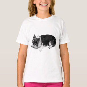 sanfte Fellfarbe, Corgi T-Shirt