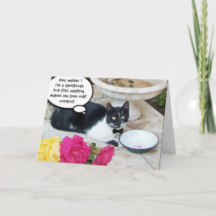 SANFTE KATZE IM RESTAURANT Alles Gute zum Geburtst Karte