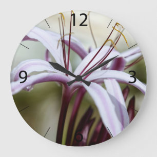 Sanfte rosa Lilienblüten Botanische Foto Kunst Große Wanduhr