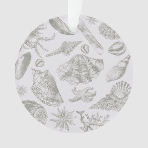 Sanfte Salbeigraue Meeresmuschel Skizze Antik Natu Ornament