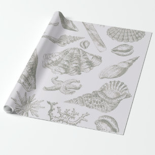Sanfte Salbeigraue Muschelskizze Antik Natur Geschenkpapier