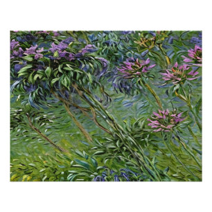 Sanfte und lebendige Darstellung der Agapanthus-Bl Fotodruck