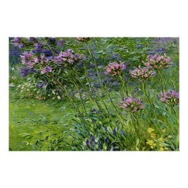 Sanfte und lebendige Darstellung der Agapanthus-Bl Poster