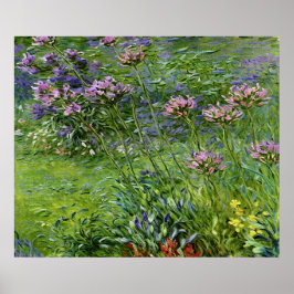 Sanfte und lebendige Darstellung der Agapanthus-Bl Poster