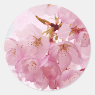 Sanfte Vintage-Rosa Kirschblüten Runder Aufkleber