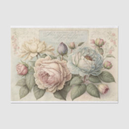 Sanfte Vintage-Rosen in creme und rosa Seidenpapier
