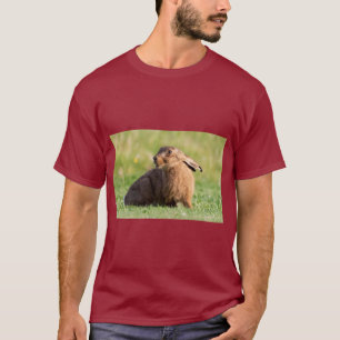 Sanftes Hasen-Junges-Kunst-T-Shirt T-Shirt