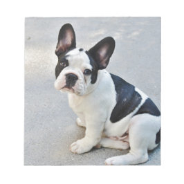 Sängerin Notizblock