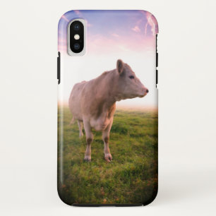Sangria-Sonnenuntergang-Landkuh auf der Weide Case-Mate iPhone Hülle