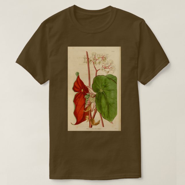 Sanguinea T-Shirt (Design vorne)