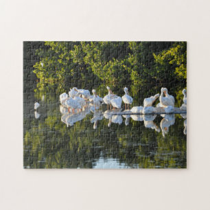 Sanibel Island Florida. Puzzle