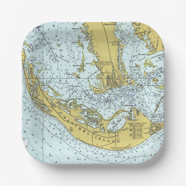 Sanibel Island Florida Vintage Wasserkarte Pappteller (Vorderseite)