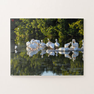 Sanibel Island Pelicans Florida Puzzle