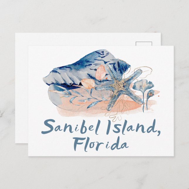 Sanibel Island Seashells Postkarte (Vorne/Hinten)