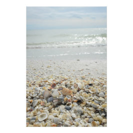 Sanibel Muscheln Fotodruck