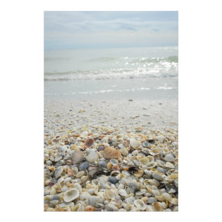 Sanibel Muscheln Fotodruck