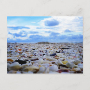 Sanibel Muscheln Postkarte