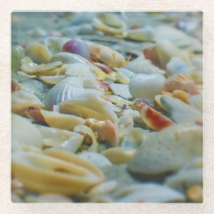 Sanibel Seashells Glass Untersetzer