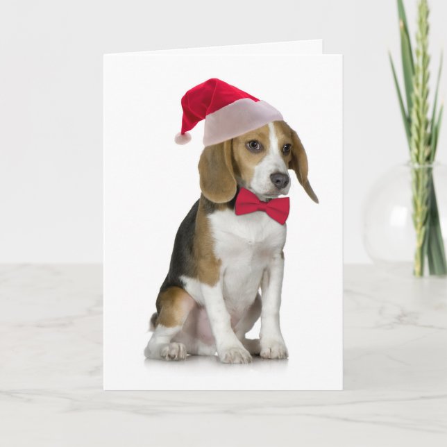Sankt-Beagle-Weihnachtskarte Feiertagskarte (Vorderseite)