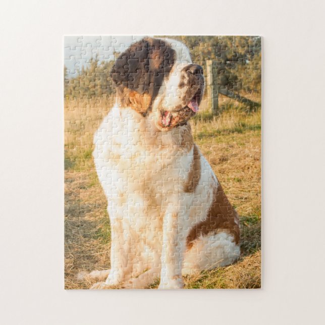 Sankt Bernard dog in the Sunset Puzzle (Vertikal)