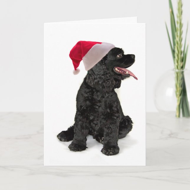 Sankt-Cockerspaniel-Weihnachtskarte Feiertagskarte (Vorderseite)