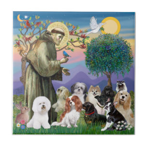 Sankt Franziskus mit 10 Hunden Fliese