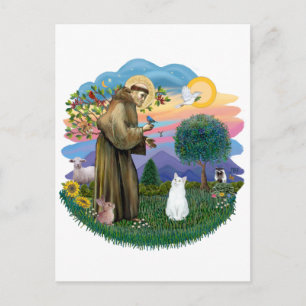 Sankt Franziskus - Weiße Katze (American SH) Postkarte