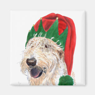 Sankt-Helfer Labradoodle Magnet
