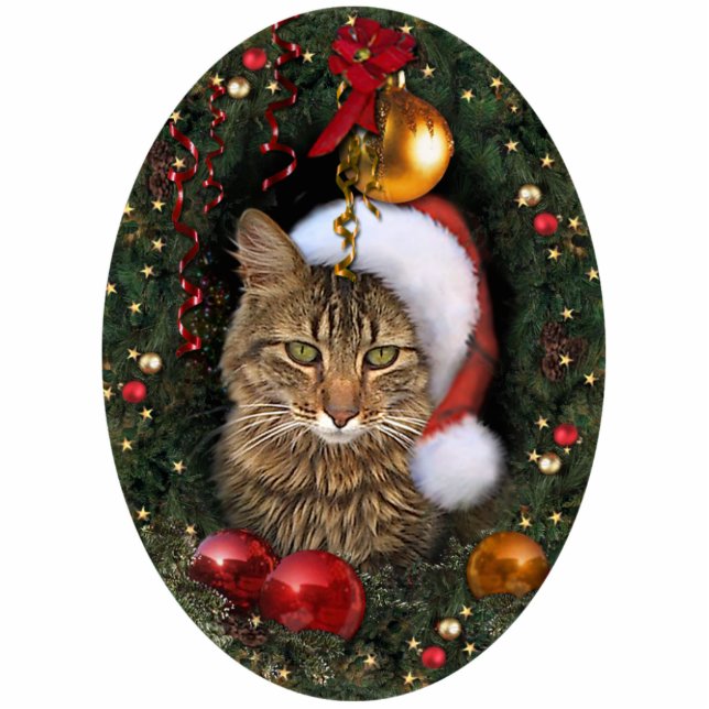 Sankt-Katze Fotoskulptur Ornament (Vorne)