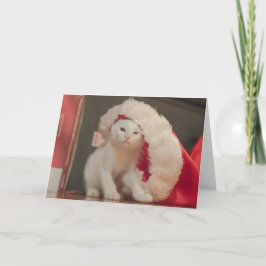 Sankt-Miezekatze Feiertagskarte