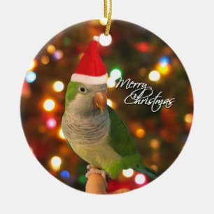 Sankt-Quäkerparakeet-Weihnachtsverzierung Keramikornament