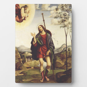 Sankt Rochus von Francesco Francia Fotoplatte
