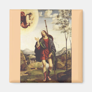 Sankt Rochus von Francesco Francia Magnet