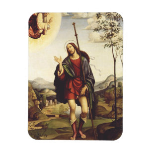 Sankt Rochus von Francesco Francia Magnet