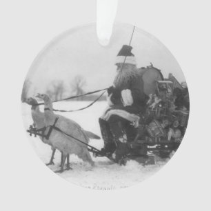 Sankt und sein die Türkei-Ren Ornament