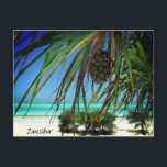 Sansibar Beach Palm Trees , Africa Postcard Postkarte<br><div class="desc">Sansibar,  Africa Postcard</div>