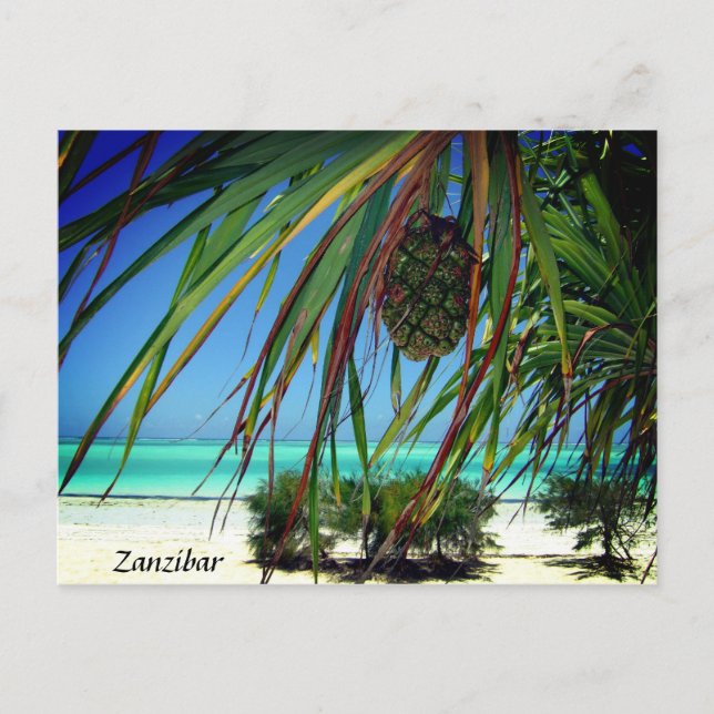 Sansibar Beach Palm Trees , Africa Postcard Postkarte (Vorderseite)