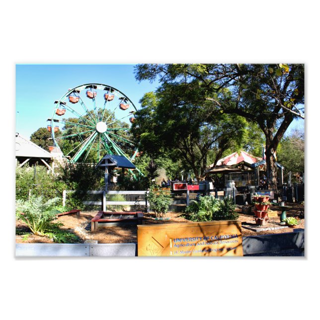 Santa-Ana-Zoo Fotodruck (Vorne)