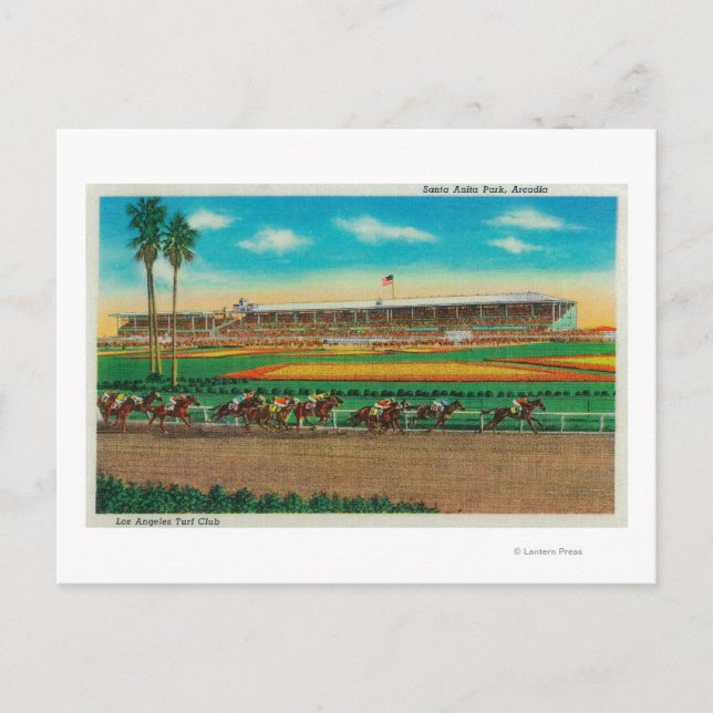 Santa Anita Park RacesArcadia, CA Postkarte (Vorderseite)