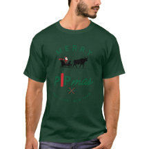 Santa auf einem Stier-Schlitten – Forex Pipmas-Ges