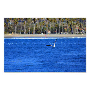 Santa Barbara, CA Fotodruck