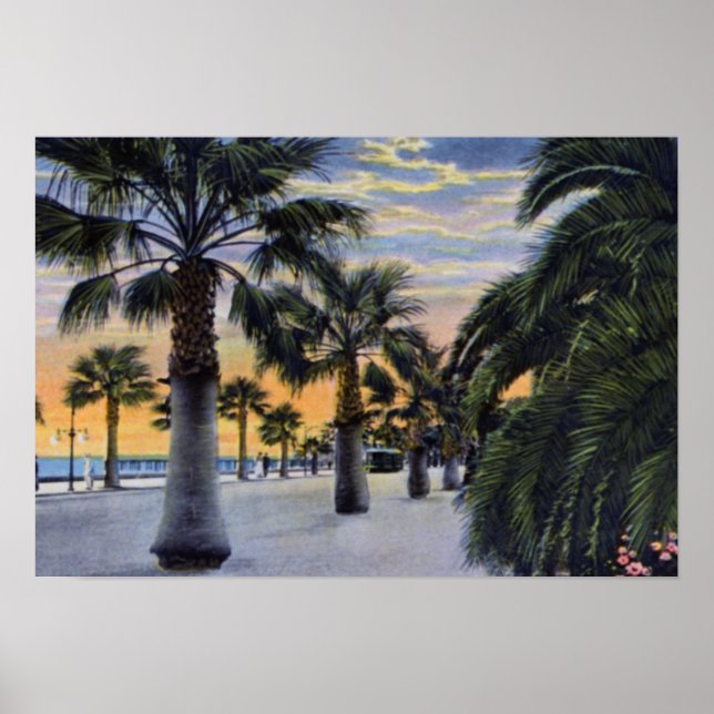 Santa Barbara California Seaside Boulevard Poster (Vorne)