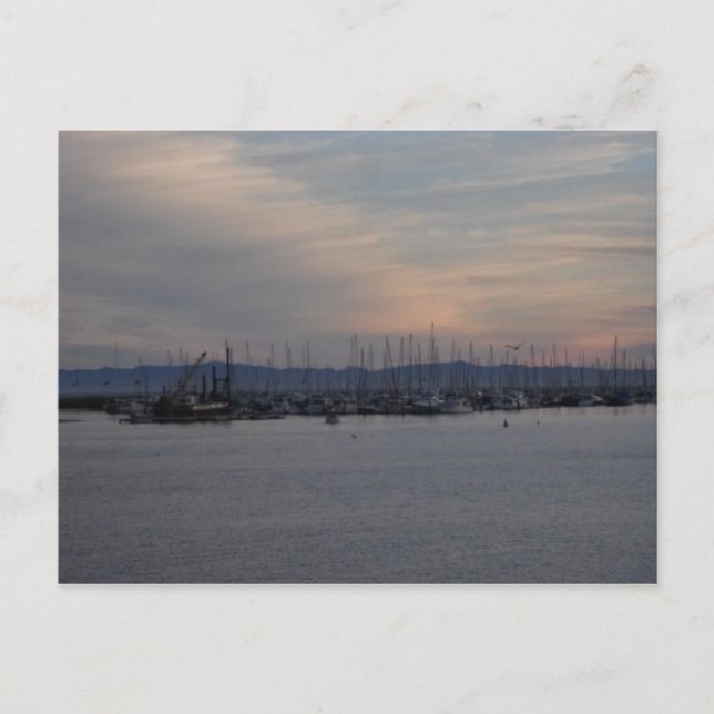 Santa Barbara Pier Postkarte (Vorderseite)