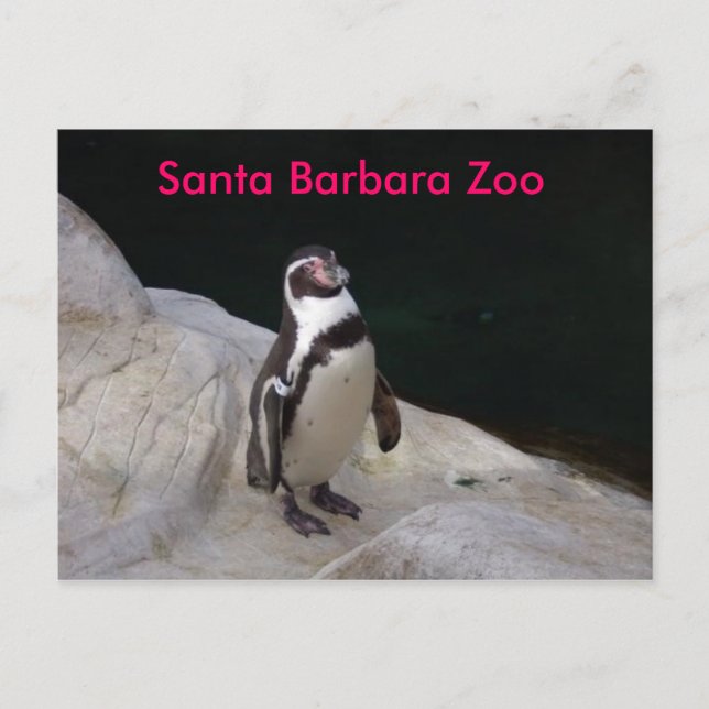 Santa Barbara Zoo Postkarte (Vorderseite)