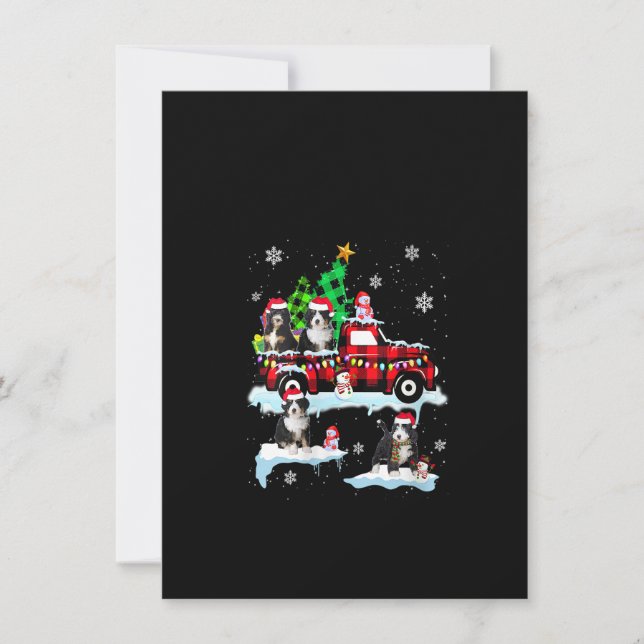 Santa Bernedoodle-Frauen auf Kariertem Rot heben d Einladung (Vorderseite)