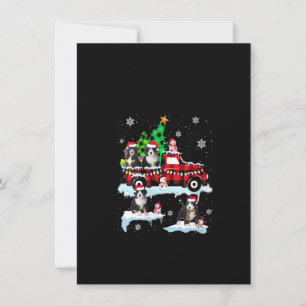 Santa Bernedoodle-Frauen auf Kariertem Rot heben d Einladung