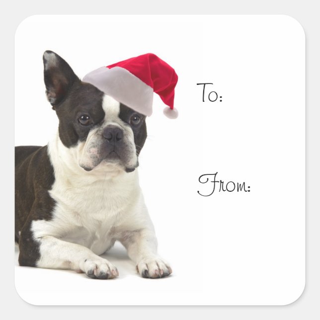Santa Boston Terrier Gift Stickers (Vorderseite)