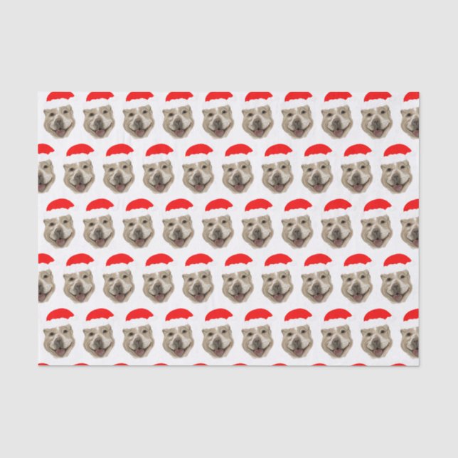 Santa Buddy Seidenpapier (Vorderseite)